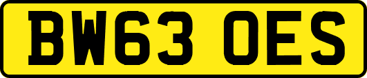 BW63OES