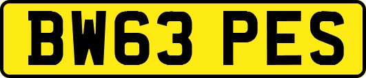 BW63PES
