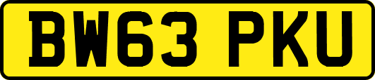 BW63PKU