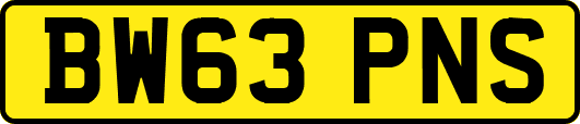 BW63PNS