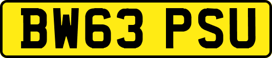BW63PSU