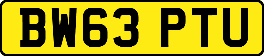 BW63PTU