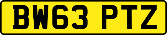 BW63PTZ