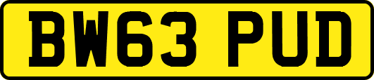 BW63PUD