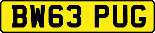 BW63PUG