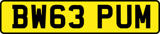 BW63PUM