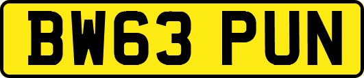 BW63PUN