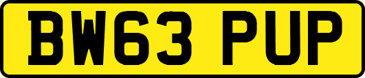 BW63PUP