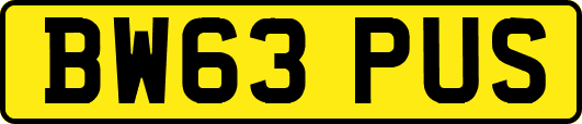 BW63PUS