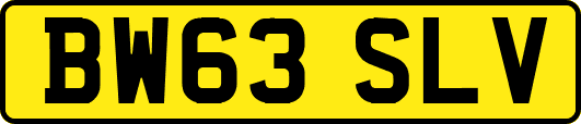 BW63SLV