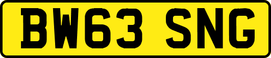 BW63SNG