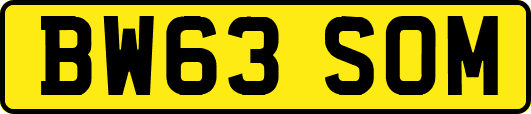 BW63SOM