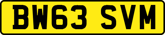 BW63SVM