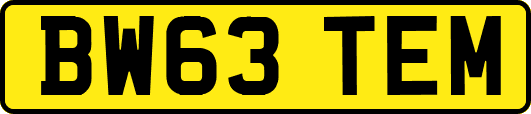 BW63TEM