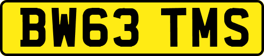 BW63TMS