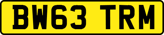 BW63TRM