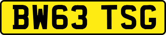 BW63TSG