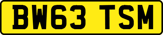 BW63TSM