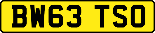 BW63TSO