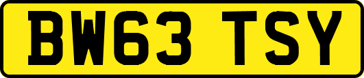 BW63TSY