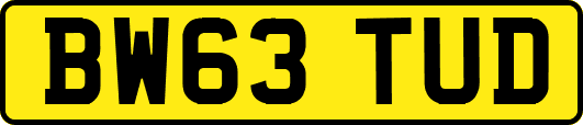 BW63TUD