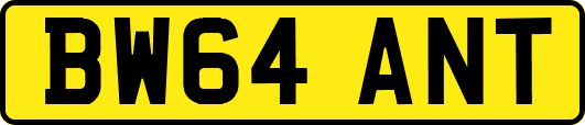 BW64ANT