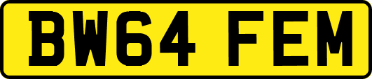 BW64FEM