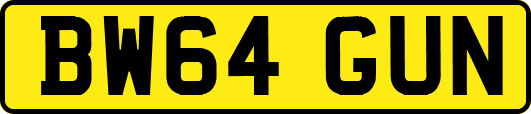 BW64GUN