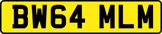 BW64MLM