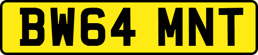BW64MNT