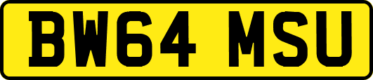 BW64MSU