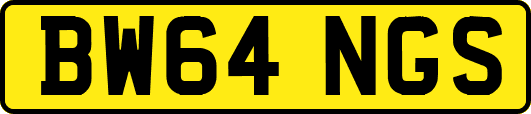 BW64NGS