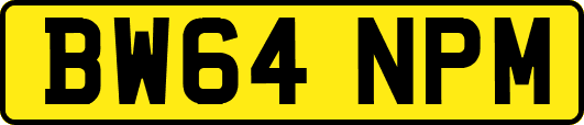 BW64NPM