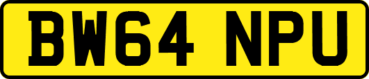 BW64NPU