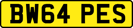 BW64PES