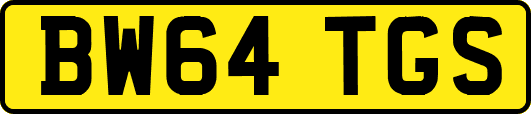 BW64TGS