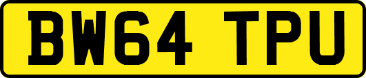 BW64TPU