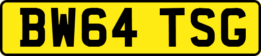 BW64TSG