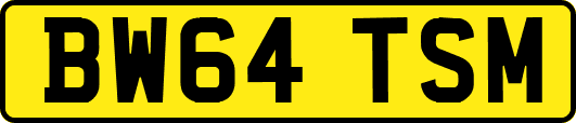 BW64TSM