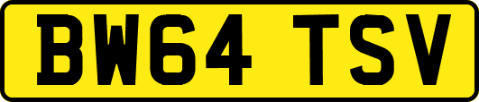 BW64TSV