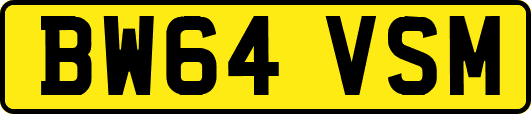 BW64VSM