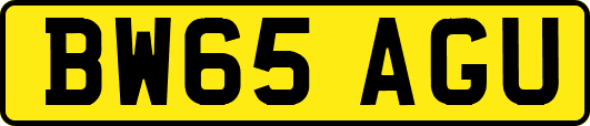 BW65AGU