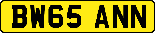 BW65ANN
