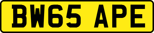 BW65APE