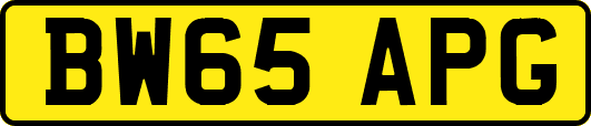 BW65APG
