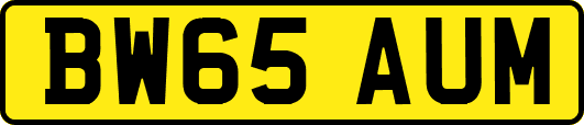 BW65AUM