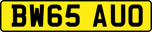 BW65AUO