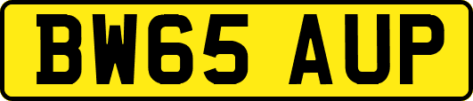 BW65AUP