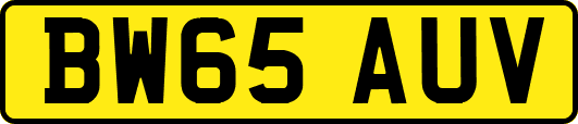 BW65AUV