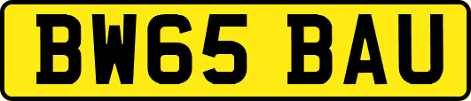 BW65BAU